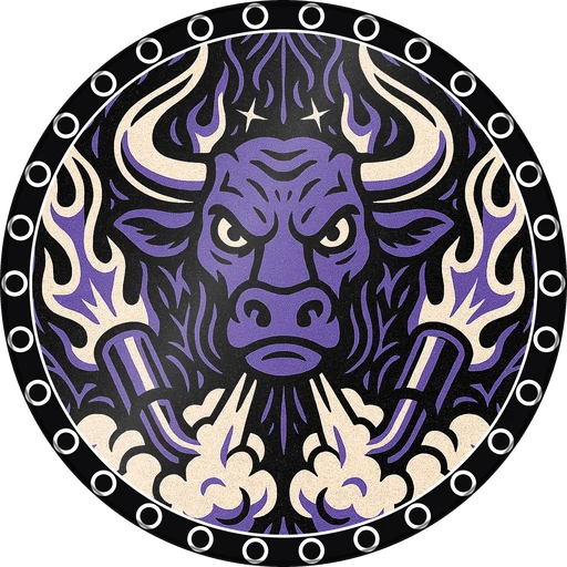 Burnout Bull