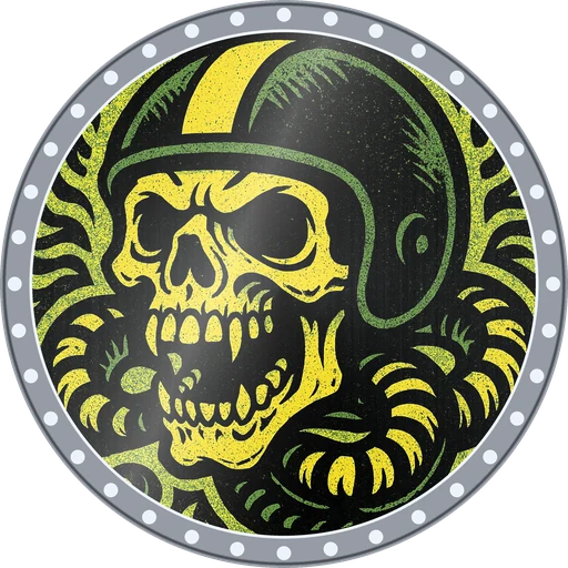 Helmet Skull